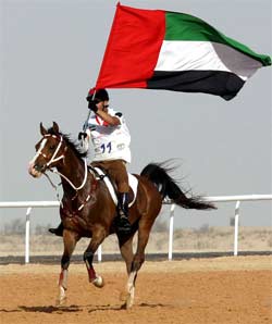 Hachim, AHS Premium stallion, after winning 2005  WEC in Dubai - bred by Gadebrook