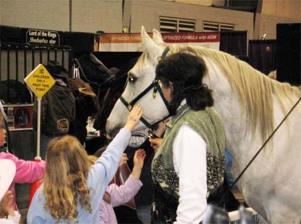 Cornelia Agnews's Horse