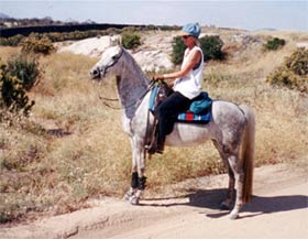 Jacki Day riding CR Lady Remington on trail